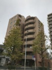グローリア初穂千石