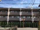 ディナスカーラ上北沢