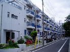 四谷軒第5経堂シティコーポ
