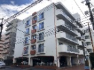 ハイラーク田無本町