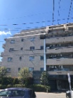 ベルジュールひばりヶ丘