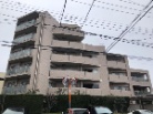 シェモア武蔵野館