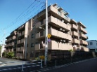 マイキャッスルひばりが丘 弐番館