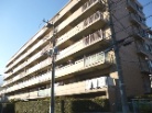 ネオスメイツ港北