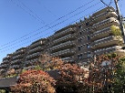 ザヴィスタ妙蓮寺