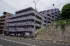 コスモ鴨居