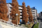 東急ドエルアルス大倉山東