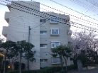 コスモ大倉山弐番館