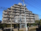 バームハイツ五反野