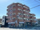 コバシ第10みどりマンション