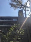 レガティス横濱山手