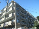 マートルコート横浜根岸