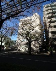 セレクト大泉学園