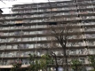 恒陽王子マンション