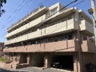 クオス池上