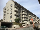 シティコープ八潮浜