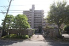 セルテシティオ湘南平塚
