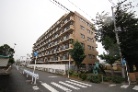ライオンズガーデン平塚
