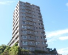 ナイスロイヤルテラス小田原城山