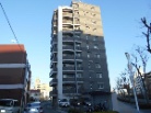 パテラ平塚