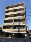 ミオカステーロ平塚八重咲