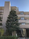 藤和シティホームズ平塚八重咲U