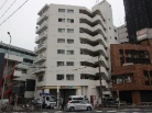ハイラーク川崎