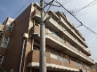 マートルコート西新小岩