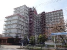 ソフトタウン立石