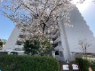 立石パークファミリア
