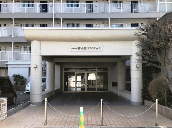 〇【売切値下げ!!】305mk24〇岩井流宗家家元 岩井友見 夏物 小紋 絽 〇【売切値下げ!!】305mk24〇岩井流宗家家元 岩井友見 夏物 小紋 絽