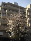 フドウアーバニティ西小岩