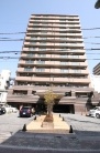 ナイスシティアリーナ新小岩