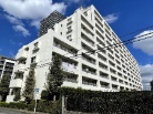コスモ蕨