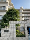 セントヒルズ東浦和