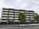 ゼファー武蔵浦和グランリブス