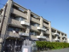 小金井東町ガーデンハウス