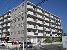 逗子ニューライフ