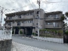 ラフェリア葉山