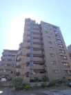 ゼファー東陽町