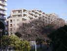 プラウド東陽町