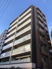 ~IJXe[