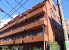 ソフトタウン原宿