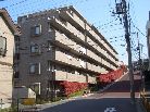 ジェイシティ松戸