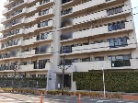 グリーンパーク南流山駅前