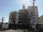 ノア南流山