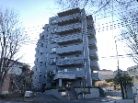 シティコート新松戸弐番館
