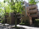 ヒルズ新松戸中央公園