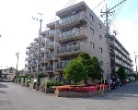 イトーピア流山