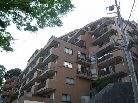 ハイホーム溝の口